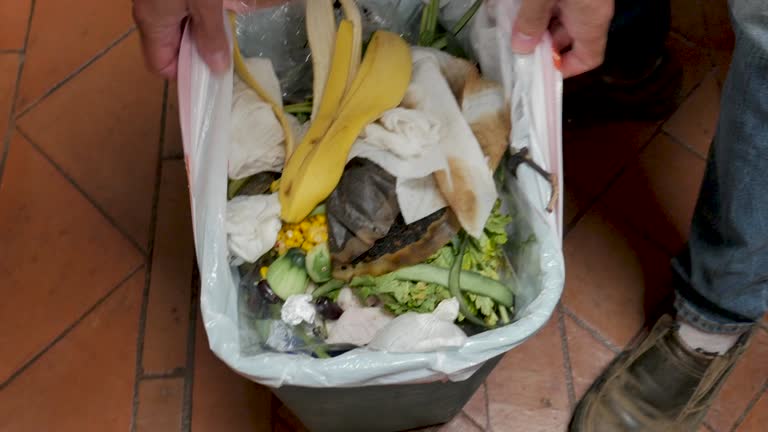  Knightdale, NC Junk Removal Services Pros